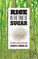Rice In The Time Of Sugar