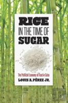 Rice In The Time Of Sugar