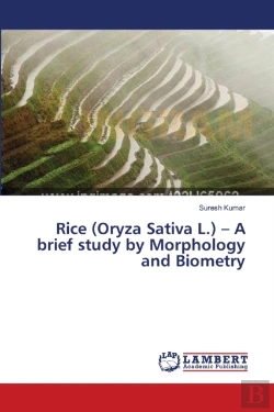 Bertrand.pt - Rice (Oryza Sativa L.) - A Brief Study By Morphology And Biometry