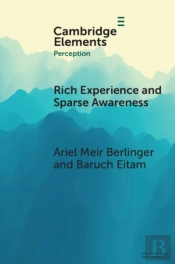 Rich Experience And Sparse Awareness