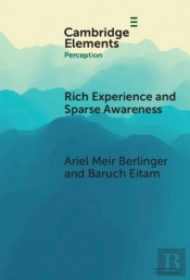 Rich Experience And Sparse Awareness