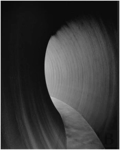 Richard Serra 2014 /Anglais