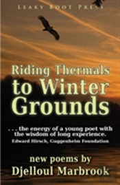 Riding Thermals To Winter Grounds