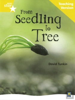 Bertrand.pt - Rigby Star Non-Fiction Guided Reading Yellow Level: From Seedling To Tree Teaching Version