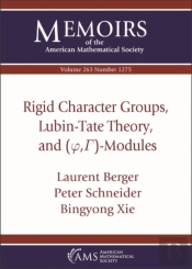 Rigid Character Groups, Lubin-Tate Theory, And $(\Varphi ,\Gamma )$-Modules