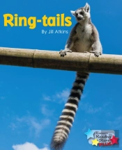 Ring-Tails