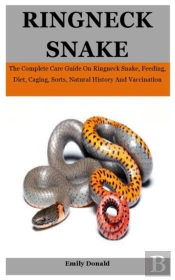 Ringneck Snake