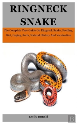Bertrand.pt - Ringneck Snake