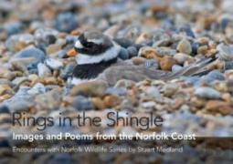 Rings In The Shingle