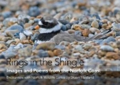 Rings In The Shingle