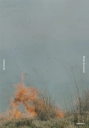 Rinko Kawauchi: Ametsuchi