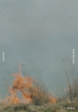 Bertrand.pt - Rinko Kawauchi: Ametsuchi