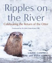 Ripples On The River