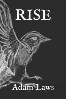 Rise