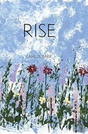 Rise