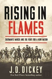 Rising In Flames