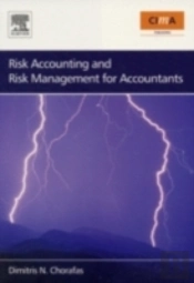 Risk Accounting And Risk Management For Accountants