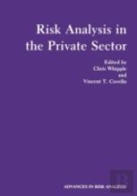 Risk Analysis In The Private Sector