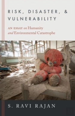 Bertrand.pt - Risk, Disaster, And Vulnerability
