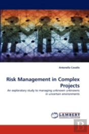 Risk Management In Complex Projects