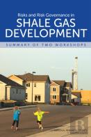 Risks And Risk Governance In Shale Gas Development