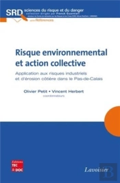 Risque Environnemental Et Action Collective ; Application Aux Risques Industriels Et D'Érosion Côtière Dans Le Pas-De-Calais