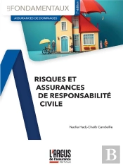 Risques Et Assurances De Responsabilité Civile