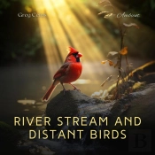 River Stream And Distant Birds