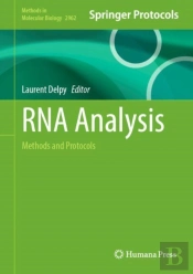 Rna Analysis
