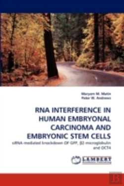 Bertrand.pt - Rna Interference In Human Embryonal Carcinoma And Embryonic Stem Cells