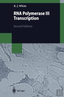 Bertrand.pt - Rna Polymerase Iii Transcription