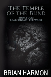 Road Beneath The Wood
