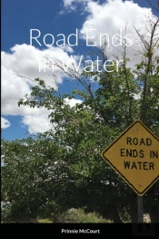 Road Ends In Water