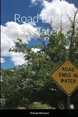 Bertrand.pt - Road Ends In Water