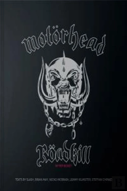 Bertrand.pt - Röadkill