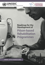 Roadmap For The Development Of Prison-Based Rehabilitation Programmes