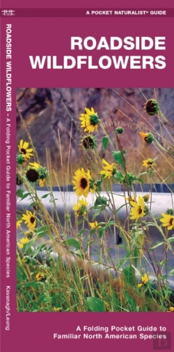 Bertrand.pt - Roadside Wildflowers