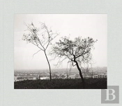 Robert Adams: Los Angeles Spring