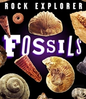 Rock Explorer: Fossils