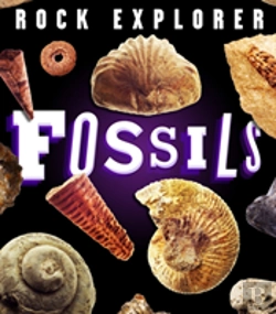 Bertrand.pt - Rock Explorer: Fossils