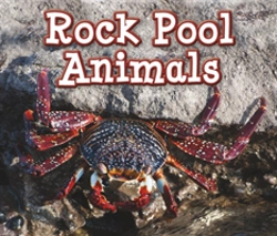 Bertrand.pt - Rock Pool Animals