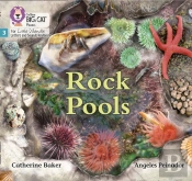 Rock Pools
