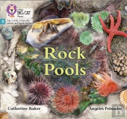 Bertrand.pt - Rock Pools