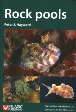 Bertrand.pt - Rock Pools