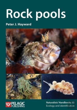 Bertrand.pt - Rock Pools