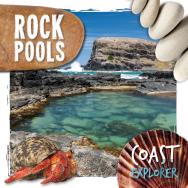 Rock Pools