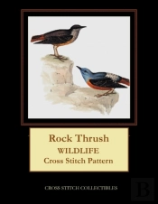 Rock Thrush
