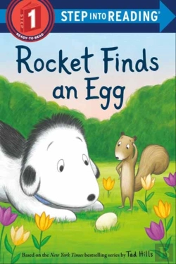 Bertrand.pt - Rocket Finds An Egg