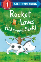 Rocket Loves Hide-And-Seek!