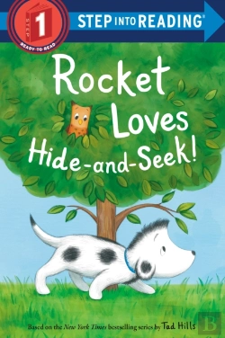 Bertrand.pt - Rocket Loves Hide-And-Seek!